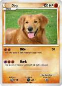 Dog