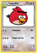 Angry Bird