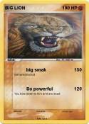 BIG LION