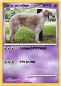 barzoi qui b@ig