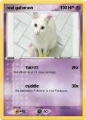 real gatomon