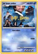 mr bean potter