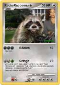 RockyRaccoon