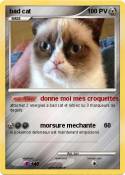 bad cat