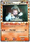 Bridgachu
