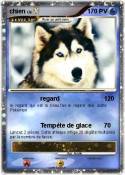chien