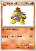 Bowser J-R
