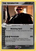 THE TERMINATOR