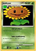 sunflower