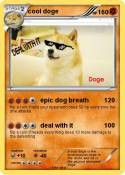 cool doge
