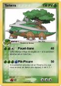 Torterra