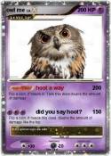 owl me
