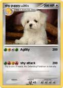 shy puppy