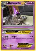 WizardCat