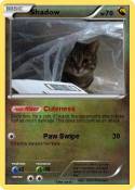 Shadow