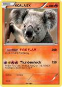 KOALA EX