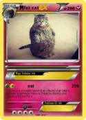 fat cat