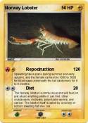 Norway Lobster