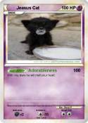 Jeasus Cat