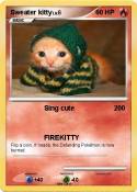 Sweater kitty
