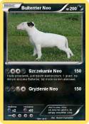 Bulterrier Neo