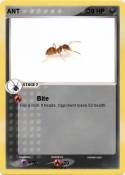 ANT