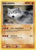 loup canadien