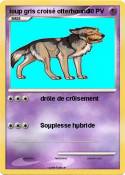 loup gris