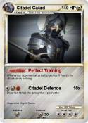 Citadel Gaurd