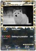 Kiba