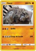 Flemir