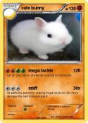 cute bunny