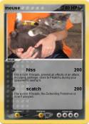 mouse