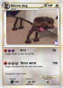 Skinne dog