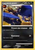 Guacamole pourr