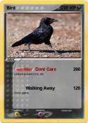 Bird