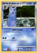 sacha de glace