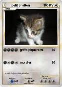petit chatton