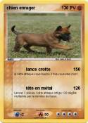 chien enrager