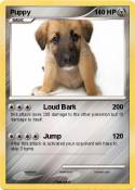 Puppy