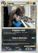 Catsnip