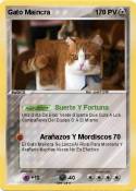 Gato Maincra