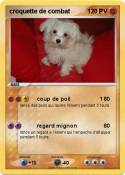 croquette de
