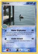 Pelican