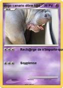 dogo canario