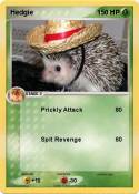 Hedgie