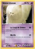 Grosse têteman