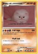 Angry cat