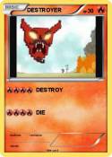 DESTROYER