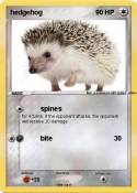 hedgehog
